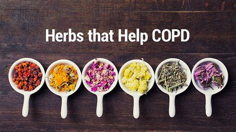 Lung Health Institute | Herbs that Help COPD | Copd, Natural remedies ...