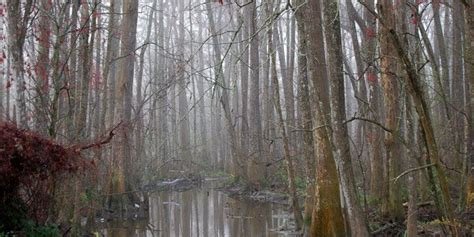 17 Haunted Places in Louisiana You Need to See for Yourself