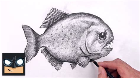 How To Draw Piranha | Sketch Tutorial (Step by Step) - YouTube