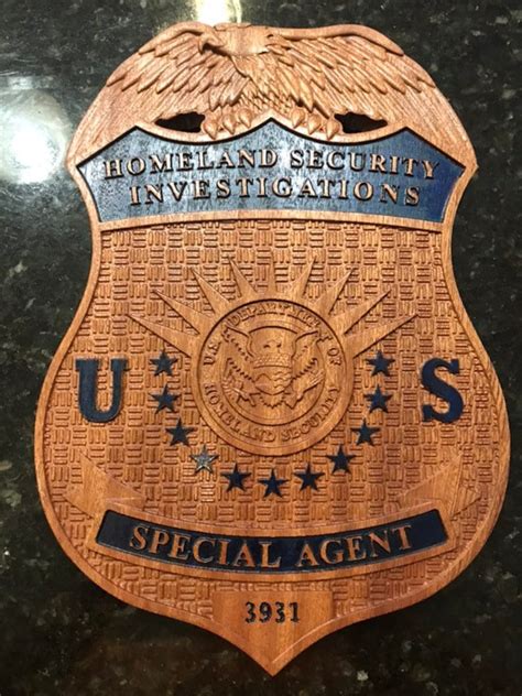 Homeland Security Investigations HSI Badge | Etsy