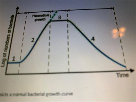 Solved Identify the four stages of the growth curve shown | Chegg.com