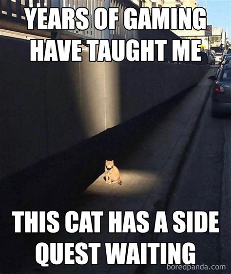 Gaming_cat Memes Memes, 54% OFF | www.elevate.in