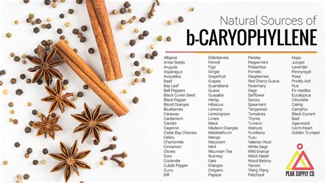 Terpene Isolates 101: b-Caryophyllene