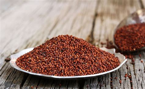 11 Amazing Health Benefits of Ragi That You Should Know!