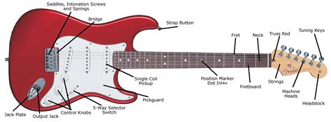 electric guitar | The Anatomy of an Electric Guitar Learn Electric ...