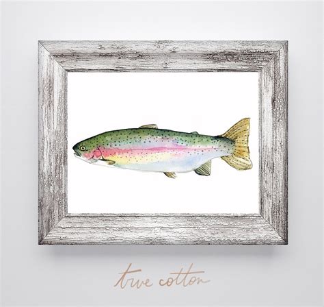 Rainbow Trout Watercolor Wall Art PRINT - Etsy