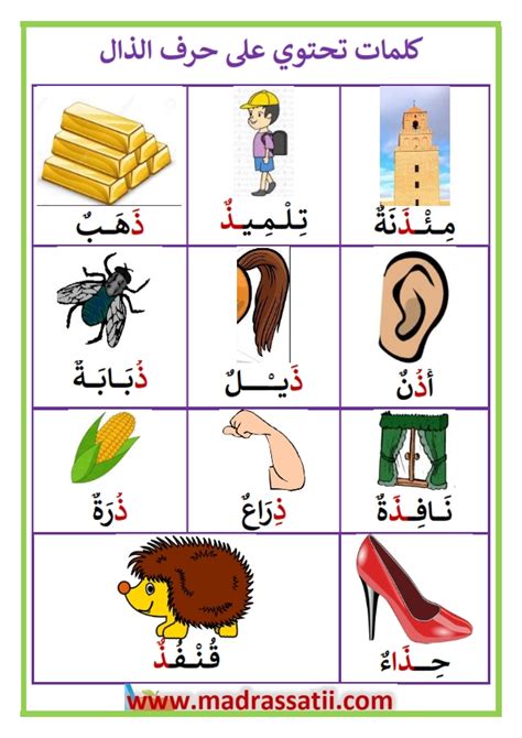 كلمات تحتوي على حرف الذال – موقع مدرستي