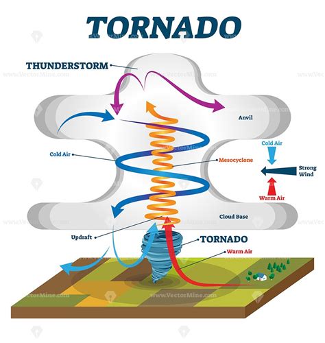 Tornado vector illustration – VectorMine | Tornado, Weather projects ...