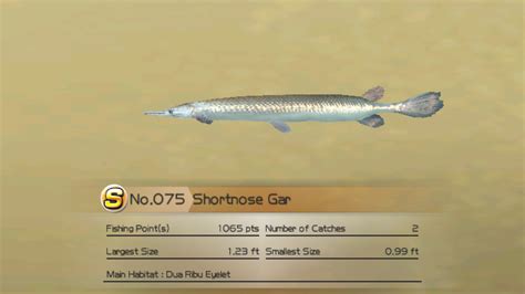 Shortnose Gar | Wii Fishing Resort Wiki | FANDOM powered by Wikia