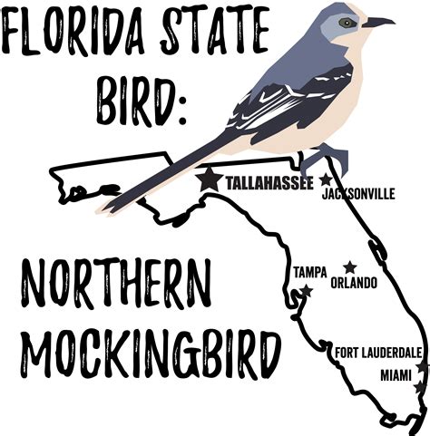 Florida State Bird - Bird Watching Academy