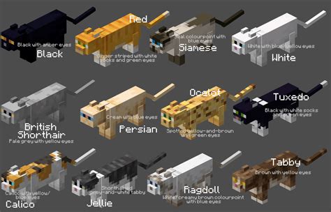 Names and colours for all the cats! What should I do next? : Minecraft