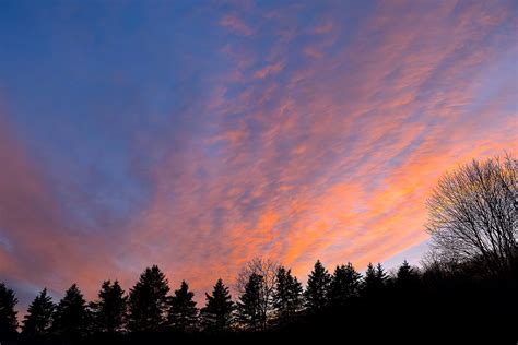 Sunset,sky,trees,landscape,nature - free image from needpix.com