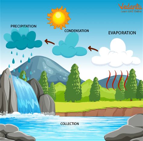 How is Rain Formed? | Formation of Rain