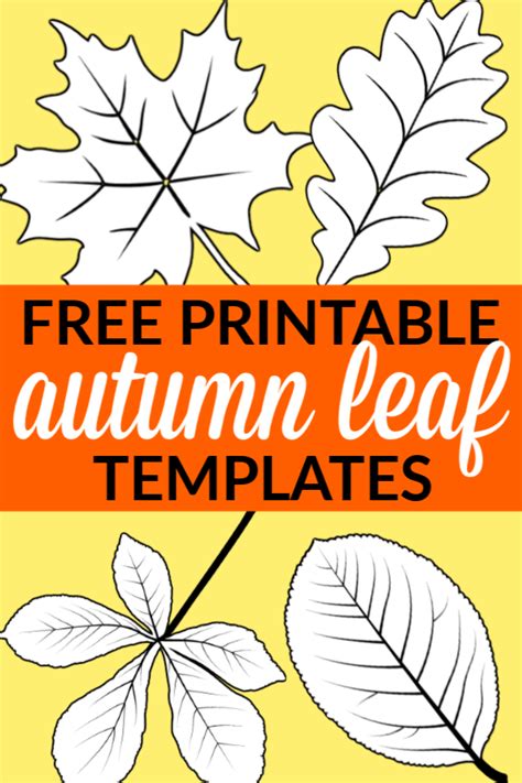 Free Printable Large Leaf Templates, Stencils and Patterns - Simple Mom ...