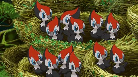 30 Fascinating And Fun Facts About Pikipek From Pokemon - Tons Of Facts