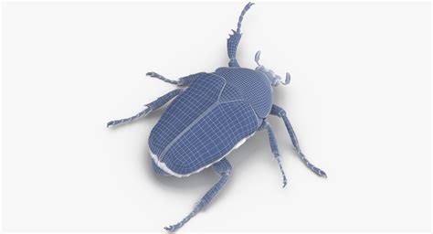 Green Scarab Beetle Walking Model - TurboSquid 1375618