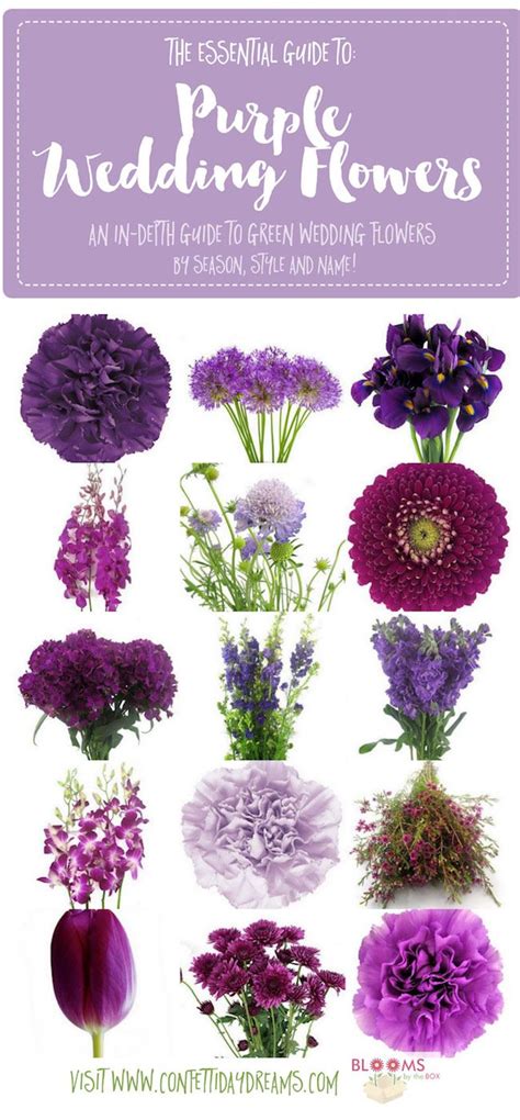 Purple Wedding Flowers: Names, Ideas, and Seasons