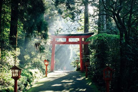 What is Torii Gate? Meaning, Types and Facts | Japan Wonder Travel Blog