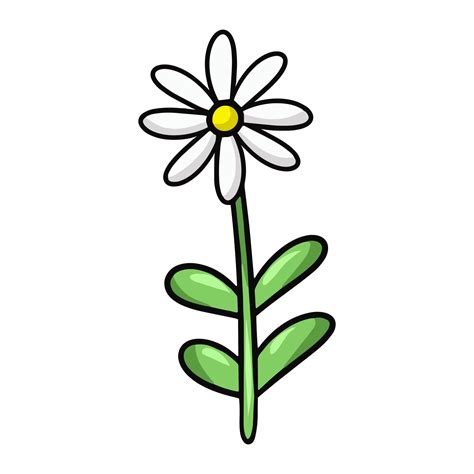 One daisy flower with green leaves, vector illustration in cartoon ...