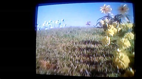 Teletubbies Vhs Youtube