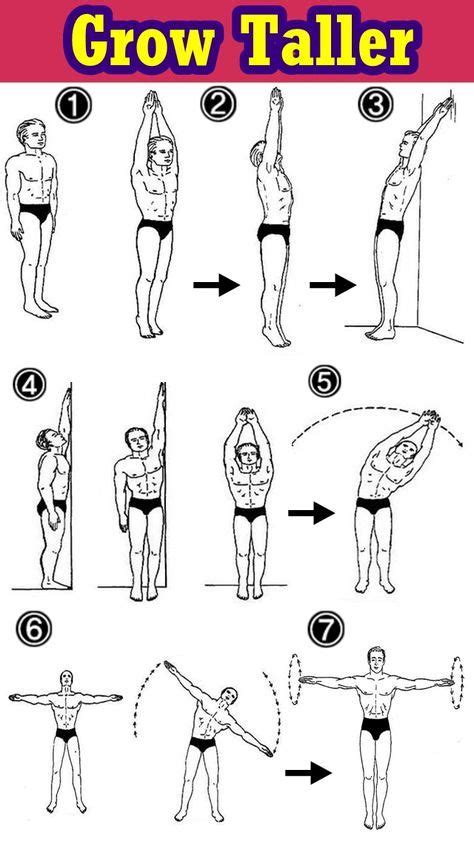 Grow Taller 2 | How to grow taller, Grow taller exercises, Taller exercises