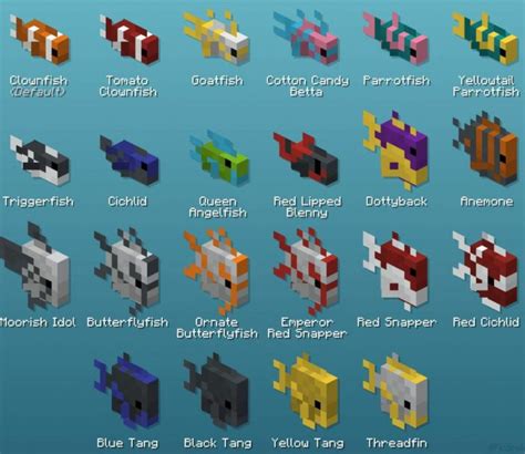 Can You Breed Tropical Fish In Minecraft? [Full Guide]