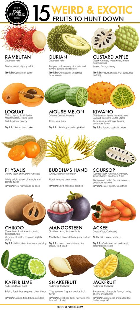 15 Exotic Fruits You Need To Try Right Now - Venngage Infographic Examples