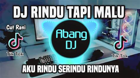 DJ AKU RINDU SERINDU RINDUNYA || RINDU TAPI MALU CUT RANI REMIX VIRAL ...