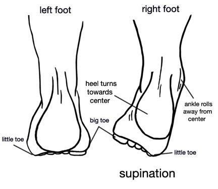 Supination Trauma - Diagnosis, Treatment, & Prevention | Bauerfeind ...