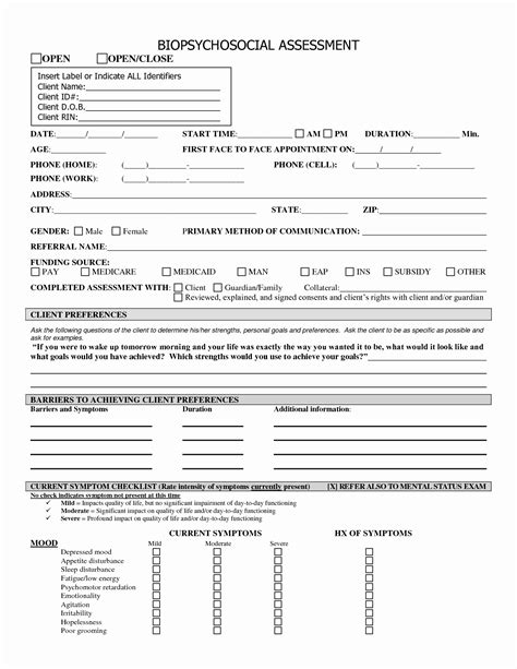 30 social Work assessment form | Example Document Template