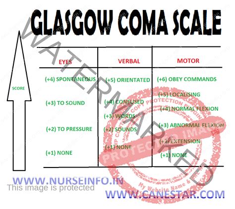 GLASGOW COMA SCALE - Nurse Info