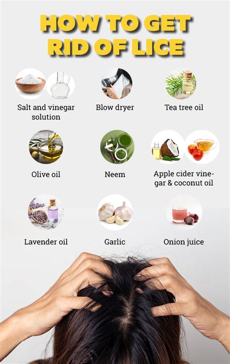 9 Home Remedies to Get Rid of Head Lice