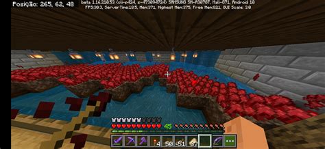 My Nether Wart Farm. : r/Minecraft