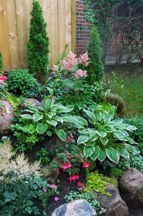 Shade Garden Ideas Zone 7 - Mbi Garden Plant