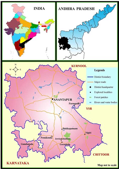 Map showing lichen explored areas in Anantapur district of Andhra ...