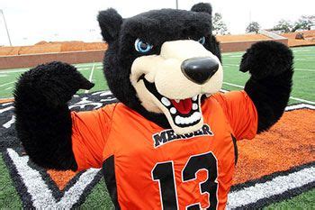 24 best images about College Mascots: SoCon on Pinterest