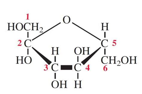 3d Model of Beta Fructose - American Chemical Society