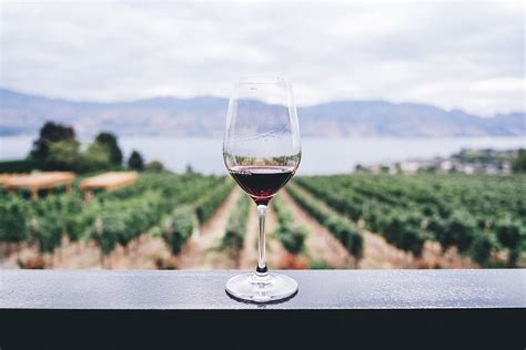 Annual Blessing of the Vine Festival at Sonoita Vines