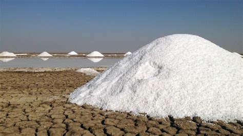 Indian Salt Deserts:: Accessible via the main city of Bhuj, the Great ...