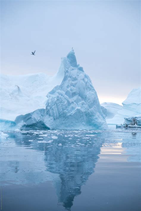 Icebergs floating in the arctic close to greenland by Nick Bondarev ...