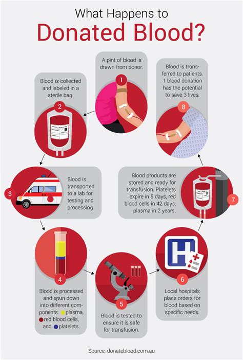 What to do Before and After Donating Blood | Fix.com