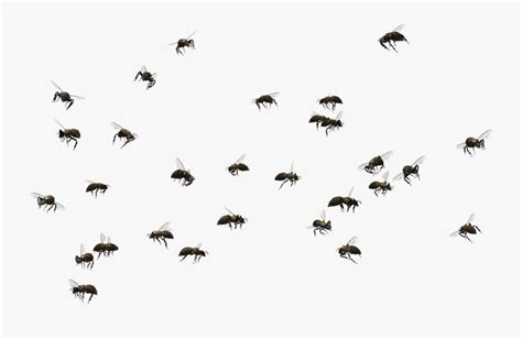 Fly Clipart Flie - Swarm Of Bees Png , Free Transparent Clipart ...