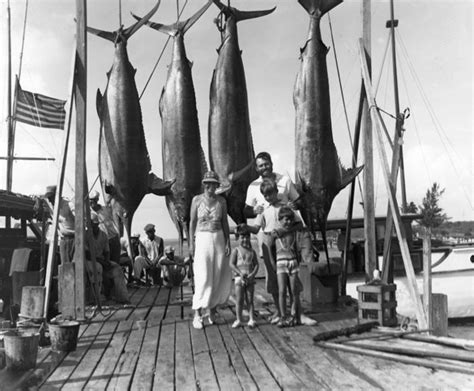 Marlin fishing - Alchetron, The Free Social Encyclopedia