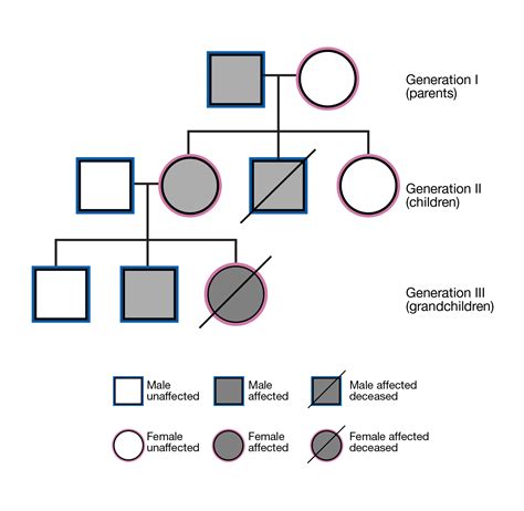 How To Draw A Pedigree Chart - Best Picture Of Chart Anyimage.Org