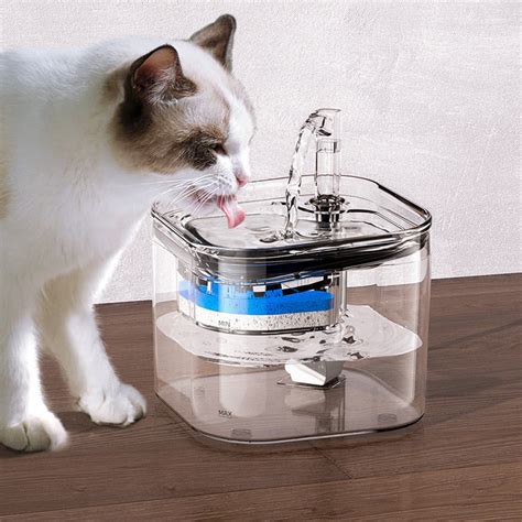 5 Benefits of Using a Water Fountain for Your Cat – Pawsitive Joy