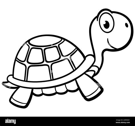 Turtle Clip Art Black And White