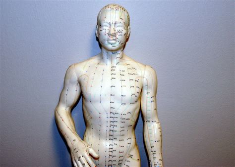 To The Point Acupuncture, Raleigh, NC | Acupuncture points