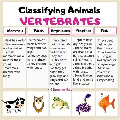 Vertebrates and Invertebrates for Kids – HowForKids