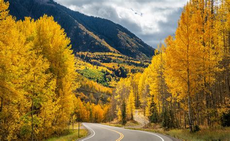 The Insider’s Guide to Aspen Fall Colors and Foliage - Aspen Signature ...