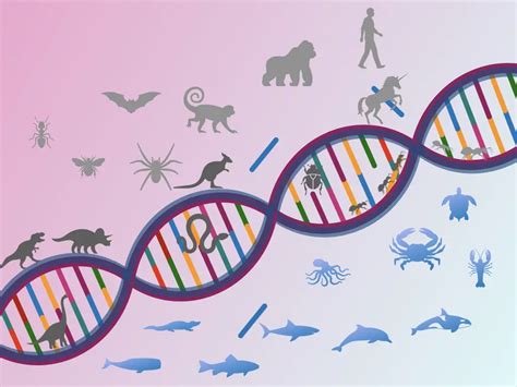 Heredity And Evolution